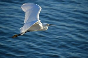 JPG 400x265 41.4kb