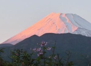 JPG 623x455 61.8kb