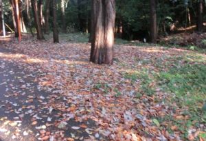JPG 582x399 112.3kb