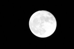 JPG 627x417 10.3kb