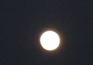 JPG 584x408 57.1kb