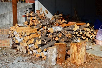  8753.jpg
