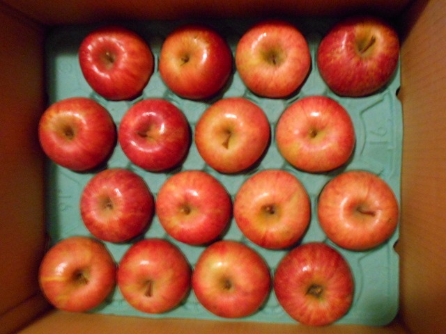  8764.jpg