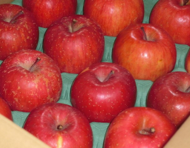  8765.jpg