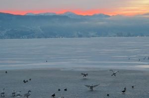 JPG 400x265 42.2kb