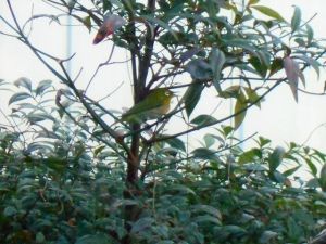 JPG 640x480 157.7kb
