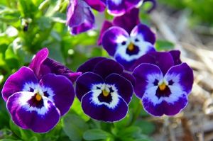 JPG 400x265 46.4kb