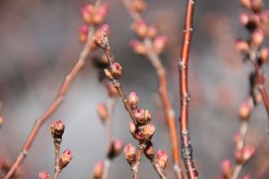 JPG 400x266 43.8kb