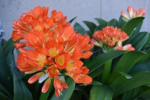JPG 400x266 44.8kb