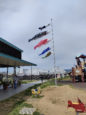  8893.jpg