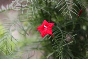 JPG 400x266 47.4kb