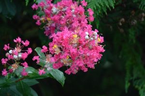 JPG 400x265 49.9kb