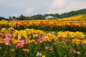 JPG 400x266 47.0kb