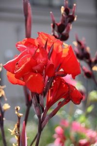 JPG 266x400 48.5kb