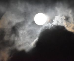 JPG 565x463 18.6kb