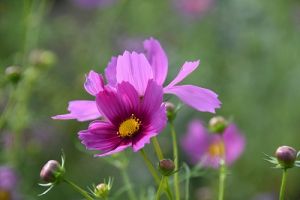 JPG 400x266 45.3kb