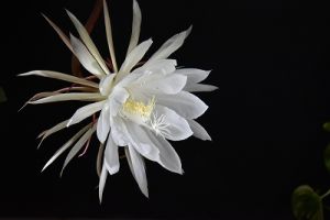JPG 400x266 48.3kb