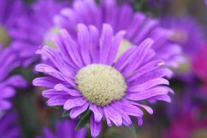 JPG 400x266 37.3kb