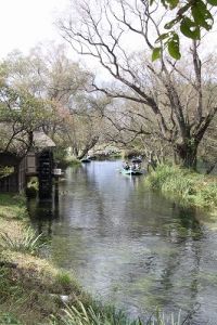 JPG 266x400 74.3kb