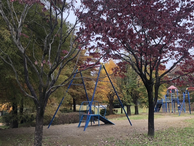  8991.jpg