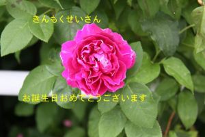 JPG 627x418 41.9kb