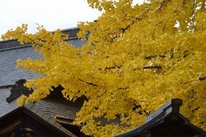 JPG 400x265 46.4kb