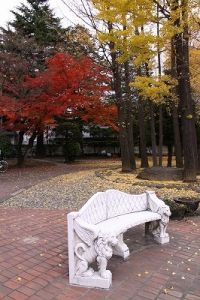 JPG 266x400 72.9kb