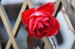 JPG 400x265 44.8kb