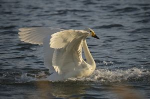 JPG 400x265 44.5kb