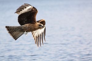 JPG 400x266 44.6kb