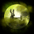 GIF 50x50 42.5kb
