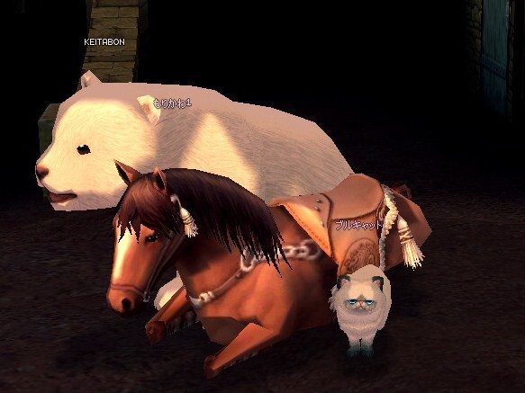  254.jpg