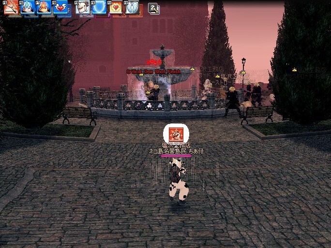  554.jpg