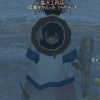 JPG 255x541 36.7kb