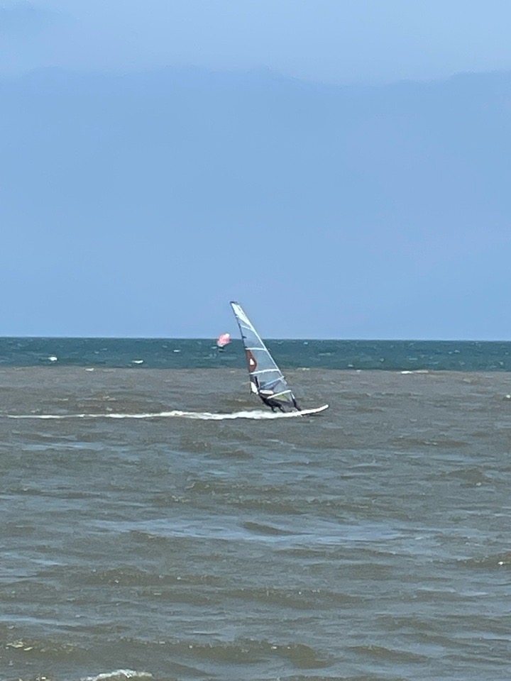  4010.jpg