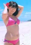 JPG 816x1200 174.2kb