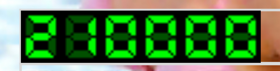 2976.jpg