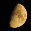 JPG 347x242 14.3kb
