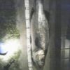 JPG 240x320 28.0kb
