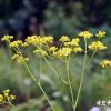 JPG 600x450 59.0kb