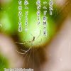 JPG 400x500 192.1kb