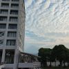 JPG 1200x675 133.6kb