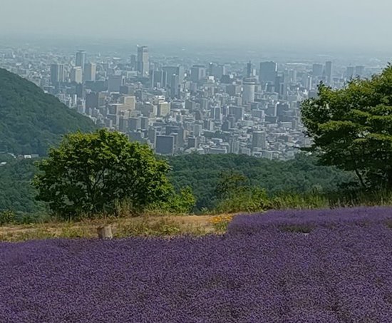  27457.jpg