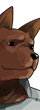  16.png