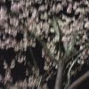 JPG 480x854 114.7kb