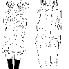 GIF 572x956 19.8kb