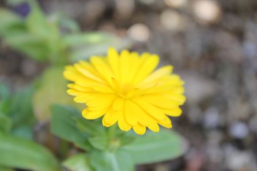 JPG 800x533 30.5kb