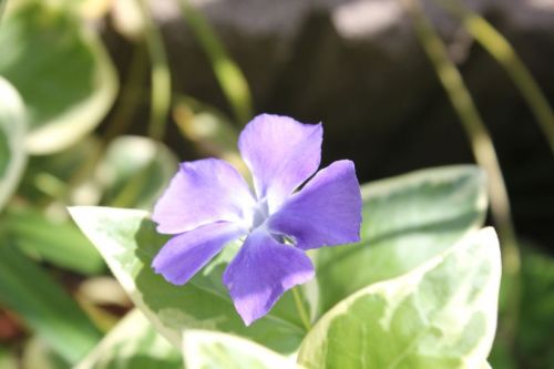 JPG 800x533 40.9kb