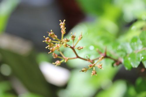 JPG 800x533 36.0kb