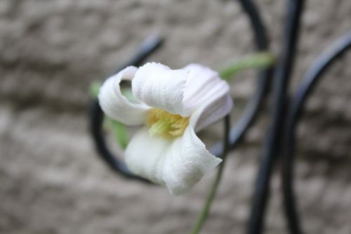 JPG 800x533 30.8kb